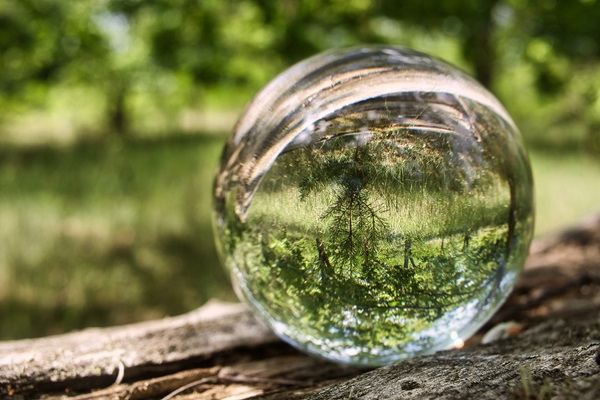 Forest reflected through a glass ball