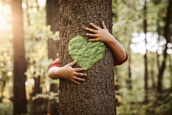 arms hugging a tree with a green heart on it