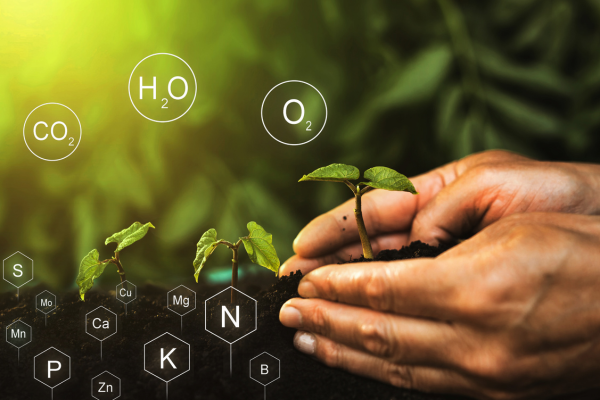 plants growing, chemistry symbols