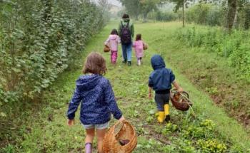 Learning in nature: exploring outdoor education