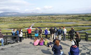 On a sunny day in Iceland, teachers are standing and sitting on a wooden platform contemplating the magnificent view across the rift valley in Thingvellir National Park.