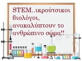 STEM..ικρούτσικοι βιολόγοι, ανακαλύπτουν το ανθρώπινο σώμα!!